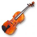 Violine