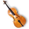 Violoncello